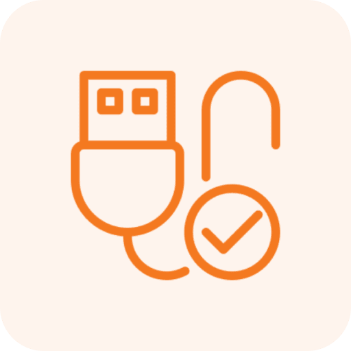USB icon with checkmark and padlock.